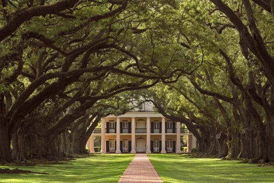 Full Day Plantation Swamp Tour in new orleans