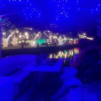 Night Cruises