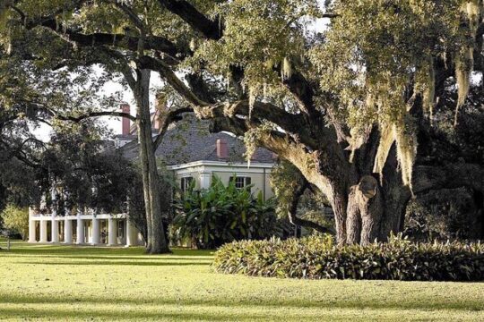 Nawlins Luxury Destrehan Plantation and Airboat Tour