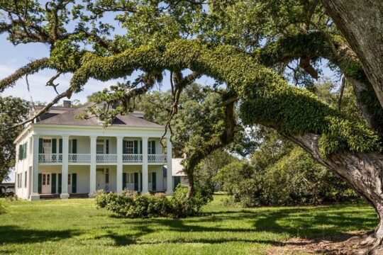 Felicity Plantation Tour