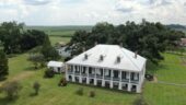 Interesting insight into life on sugar plantations