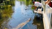 August in the Bayou and Whitney Plantation