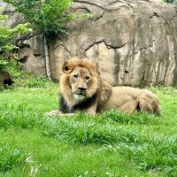 Zoo Tickets & Passes