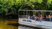 Best swamp tour